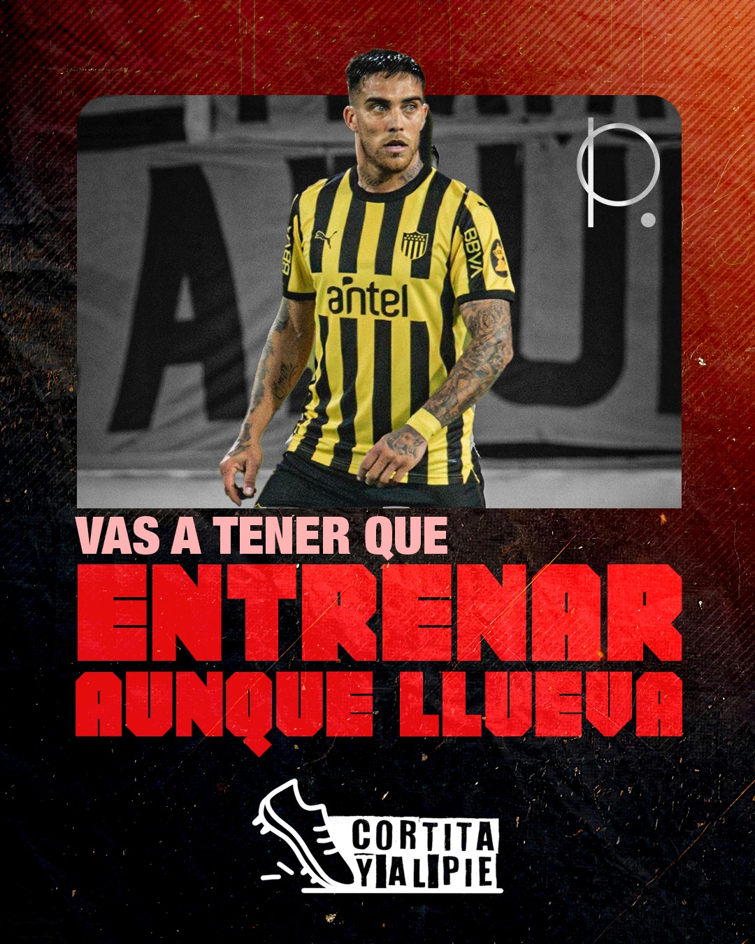 Imagen de Javier Méndez - Entrenar igual